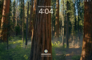 LWScreenShot 2024-12-07 at 4.04.51 PM